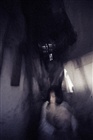 dailyPhoto16